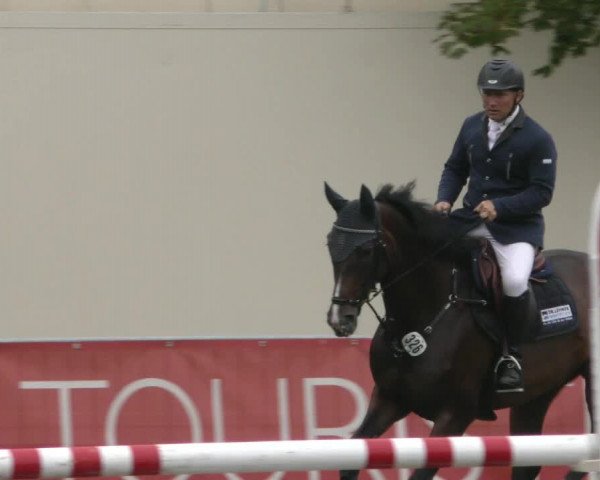 Reitturnier Aschersleben 2022