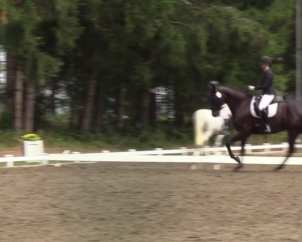 Reitturnier Kellinghusen 2022