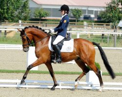 dressage horse Charlie Rivel WE (German Riding Pony, 2006, from Charm of Nibelungen)