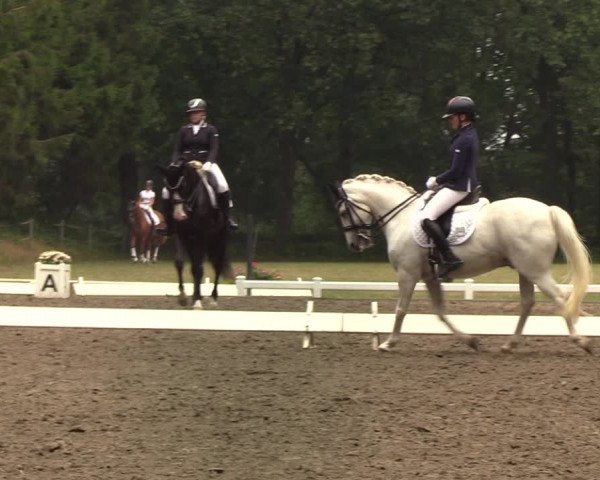 Reitturnier Kellinghusen 2022