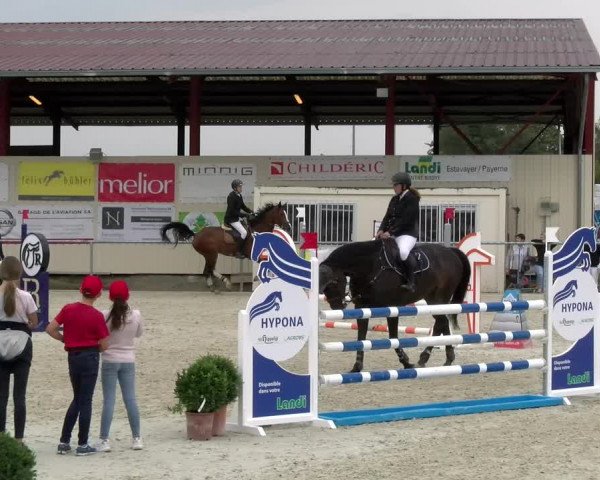 Reitturnier Dompierre 2022