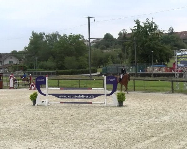 Reitturnier Dompierre 2022