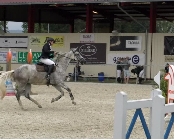 Reitturnier Dompierre 2022
