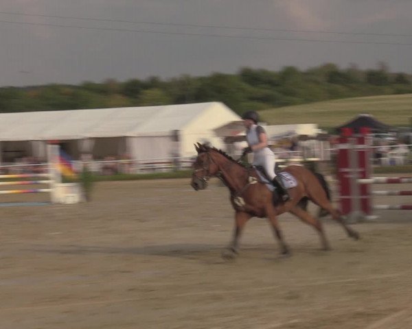 Reitturnier Menden 2022