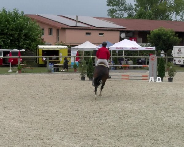 Reitturnier Dompierre 2022