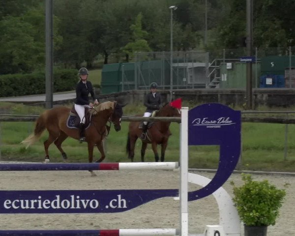 Reitturnier Dompierre 2022