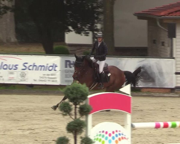 Reitturnier Schnarup-Thumby 2022