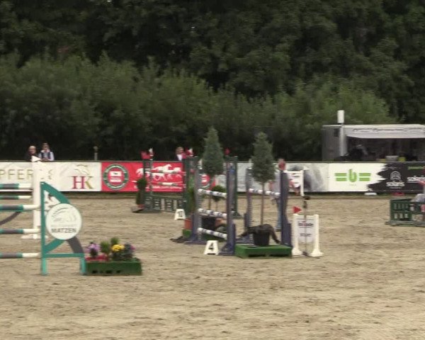 Reitturnier Schnarup-Thumby 2022