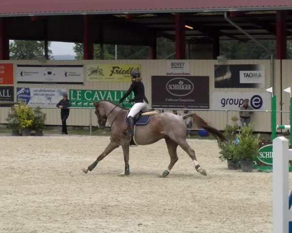 Reitturnier Dompierre 2022