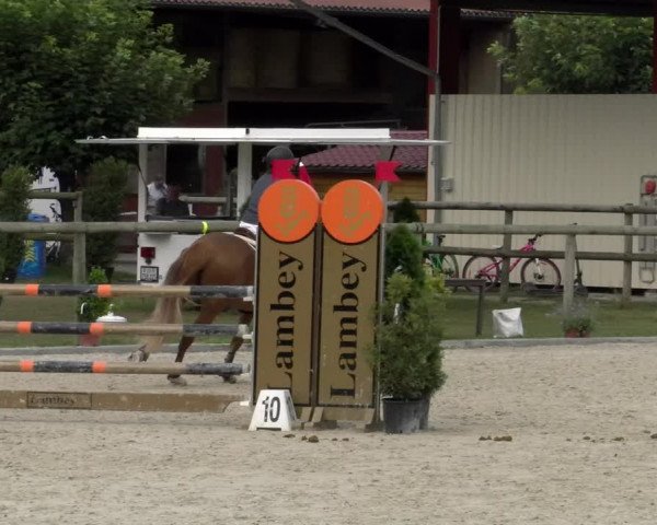 Reitturnier Dompierre 2022
