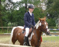 Springpferd Funny 296 (Lewitzer, 2003, von Flying Thunder)