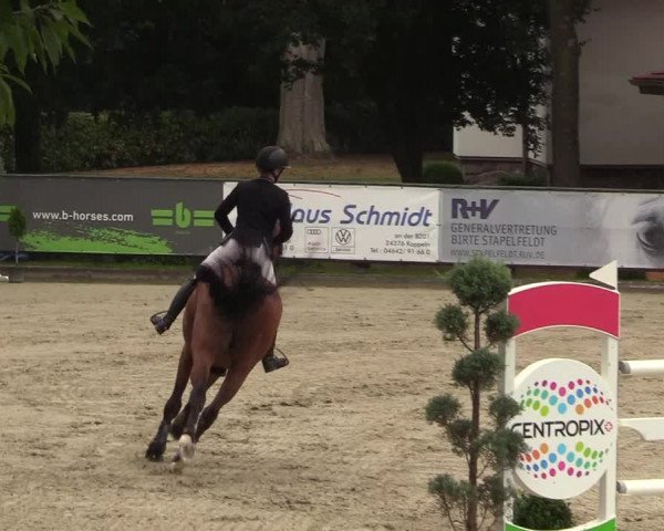 Reitturnier Schnarup-Thumby 2022