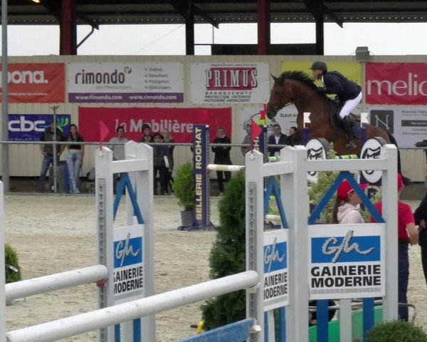 Reitturnier Dompierre 2022