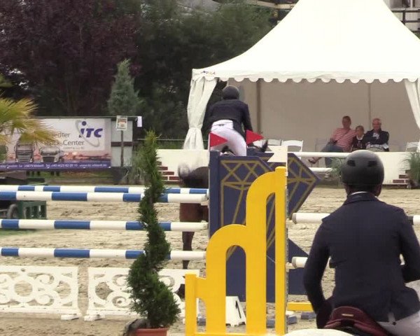 Reitturnier Schnarup-Thumby 2022