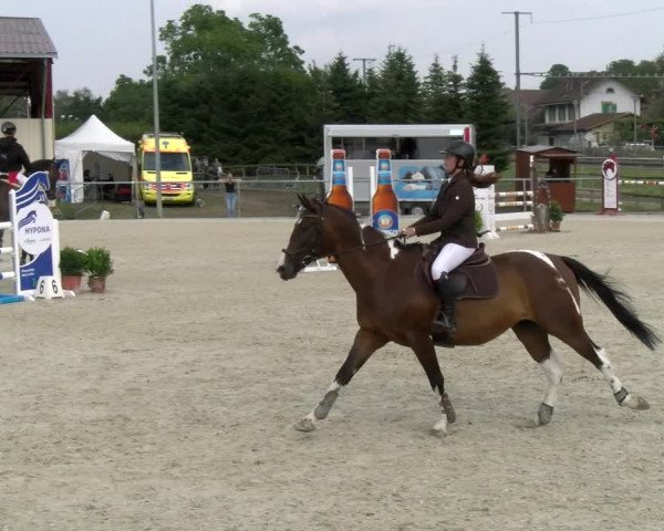 Reitturnier Dompierre 2022