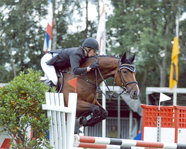 broodmare Cascarda 2 (Hanoverian, 2002, from Couleur Rubin)