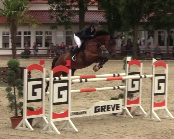 Reitturnier Schnarup-Thumby 2022