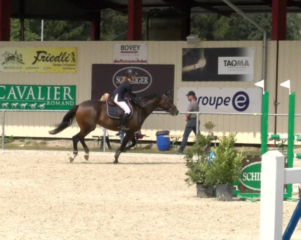 Reitturnier Dompierre 2022