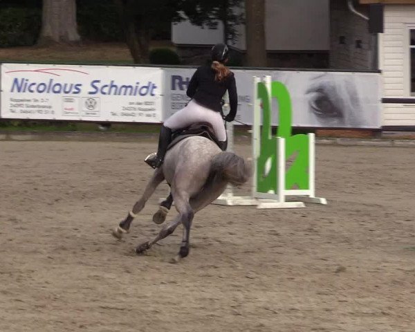 Reitturnier Schnarup-Thumby 2022