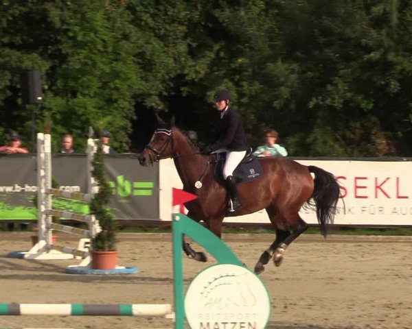 Reitturnier Schnarup-Thumby 2022