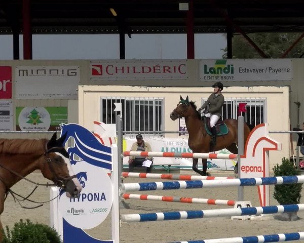 Reitturnier Dompierre 2022