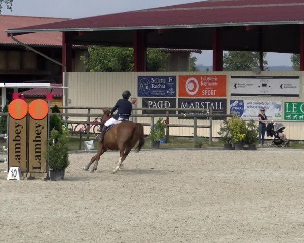 Reitturnier Dompierre 2022