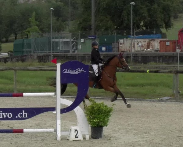 Reitturnier Dompierre 2022