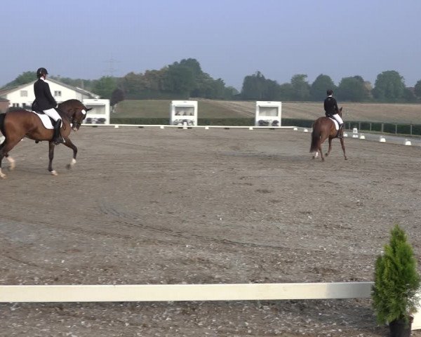 Heinsberg Classics 2022