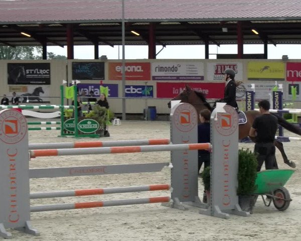 Reitturnier Dompierre 2022