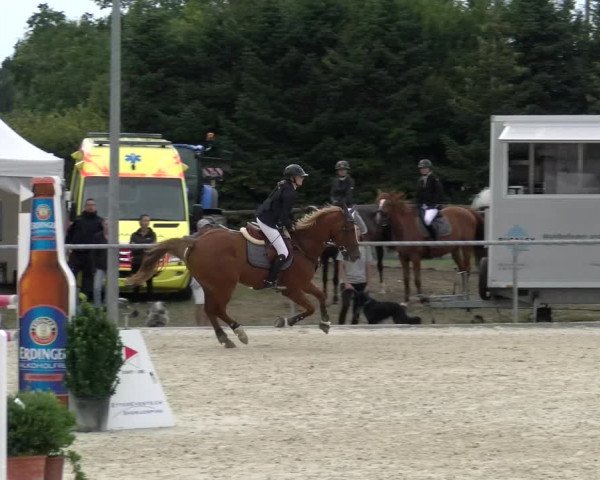Reitturnier Dompierre 2022