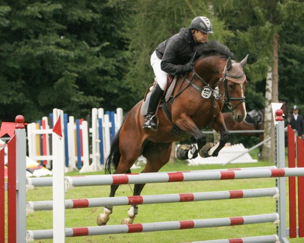broodmare Lavinia (Holsteiner, 2005, from Landos)