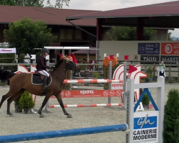 Reitturnier Dompierre 2022