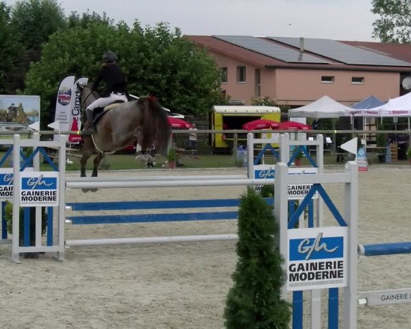 Reitturnier Dompierre 2022