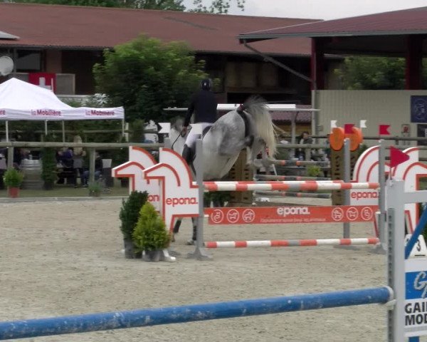 Reitturnier Dompierre 2022