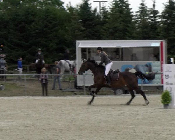 Reitturnier Dompierre 2022