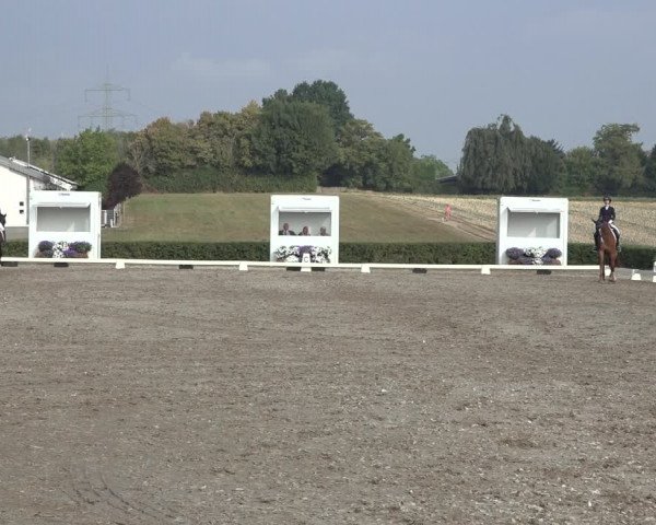 Heinsberg Classics 2022