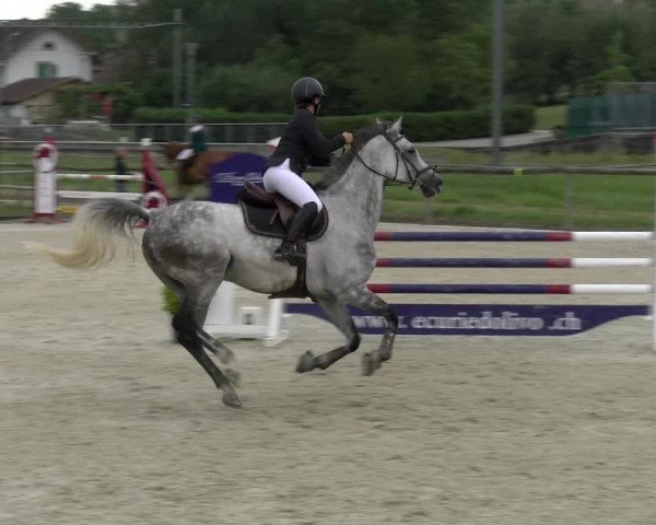 Reitturnier Dompierre 2022