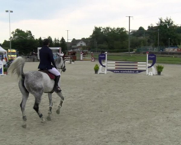 Reitturnier Dompierre 2022