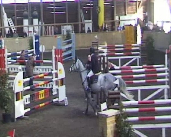 broodmare L.B.Centra (Hessian Warmblood, 2000, from Centuryo)