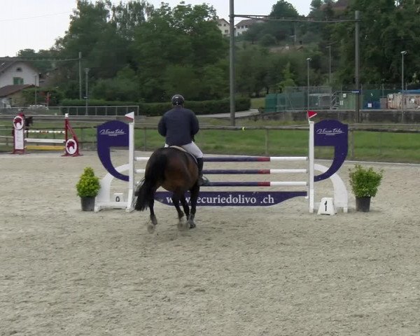 Reitturnier Dompierre 2022