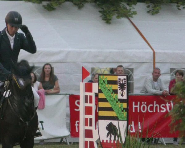 Reitturnier Aschersleben 2022