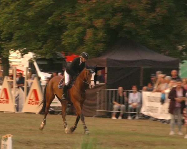 Reitturnier Aschersleben 2022
