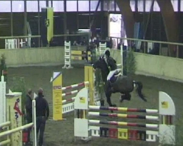 jumper Little food (Holsteiner, 2000, from Latouro)