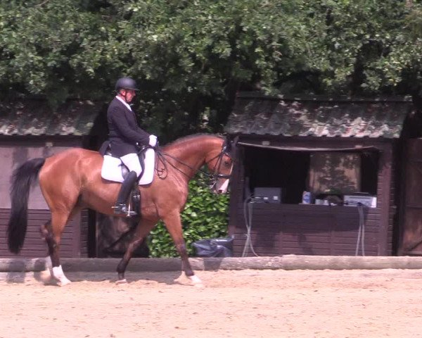 Reitturnier Datteln 2022