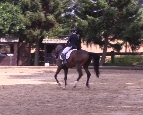 Reitturnier Datteln 2022