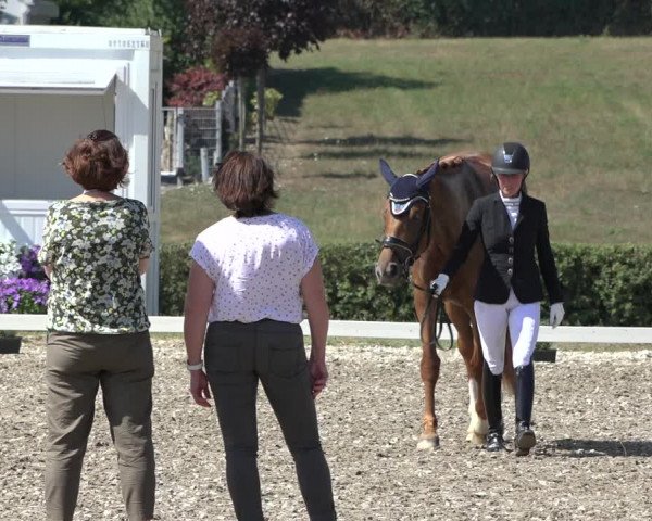 Heinsberg Classics 2022