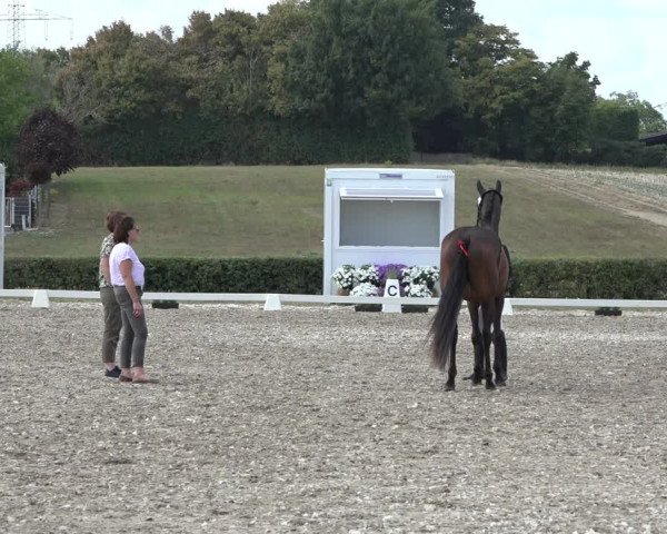 Heinsberg Classics 2022