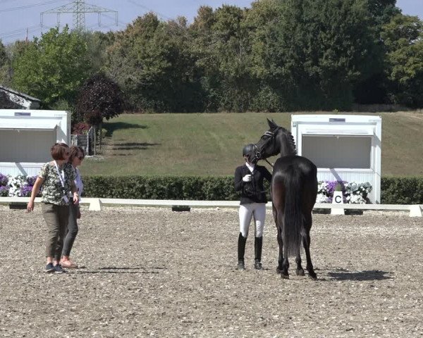 Heinsberg Classics 2022