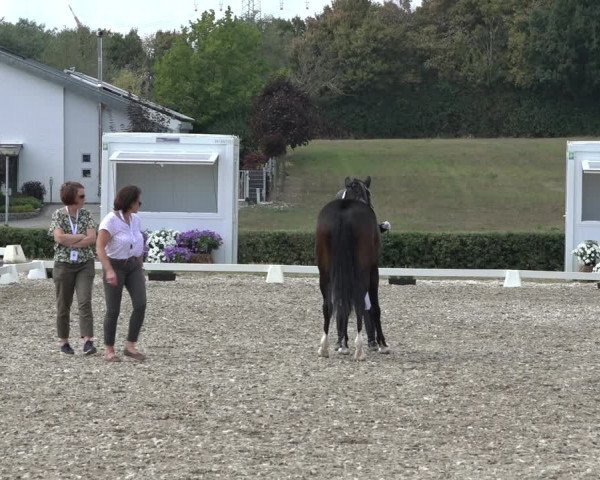 Heinsberg Classics 2022