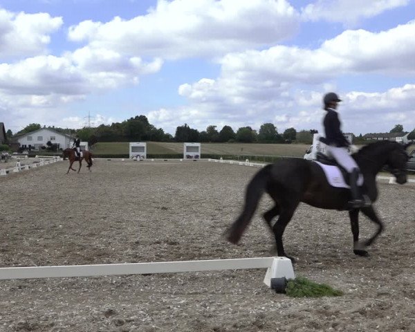 Heinsberg Classics 2022